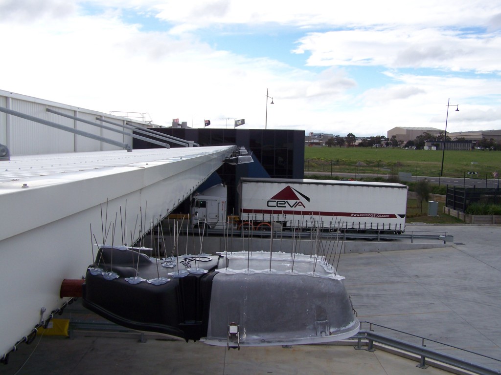 Bird spikes fitted along a commercial warehouse roof edge in Melbourne