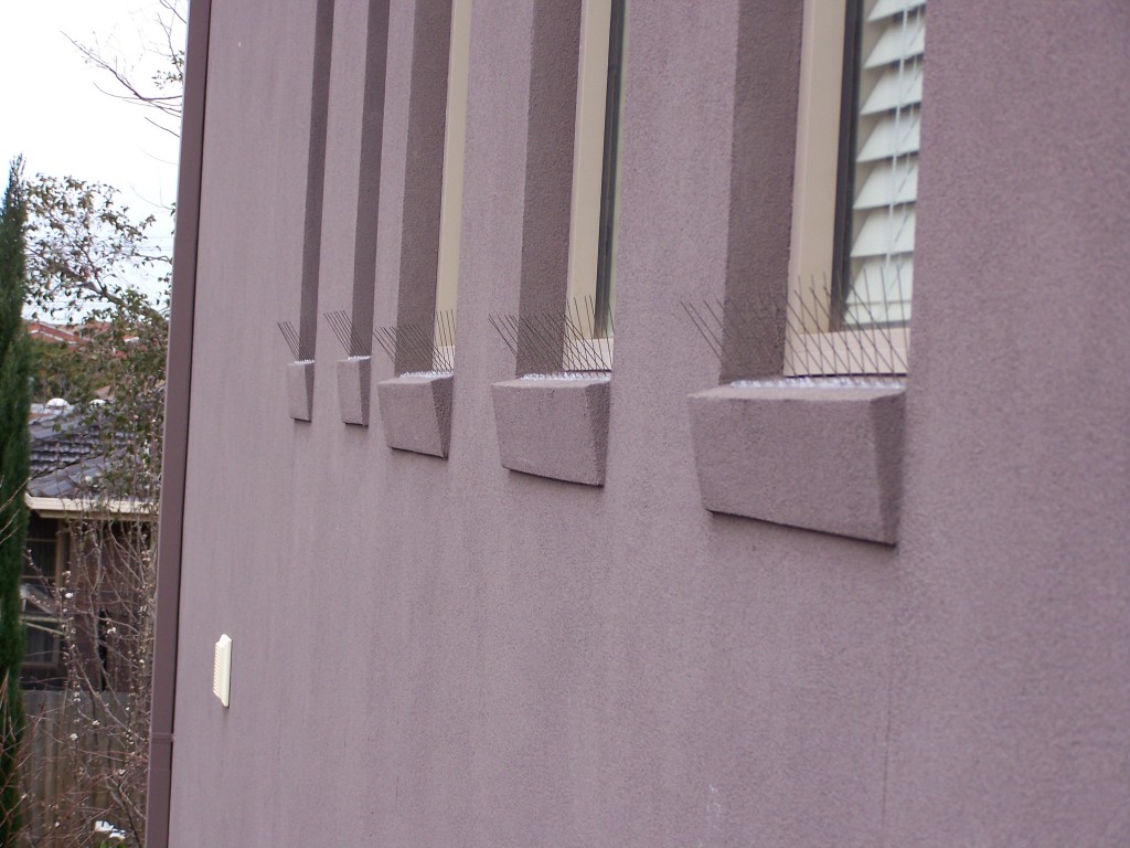 Bird spikes installed on window sills of a Melbourne building