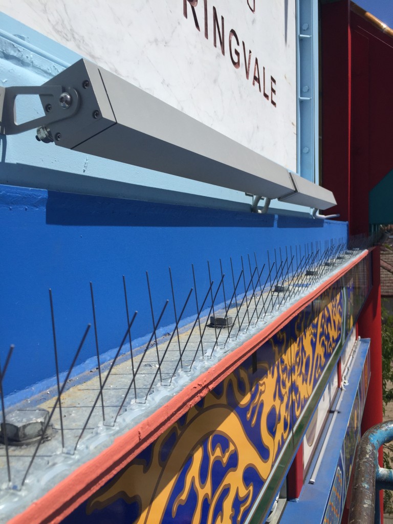 Bird spikes fitted to a shopfront signage ledge in Springvale, Melbourne